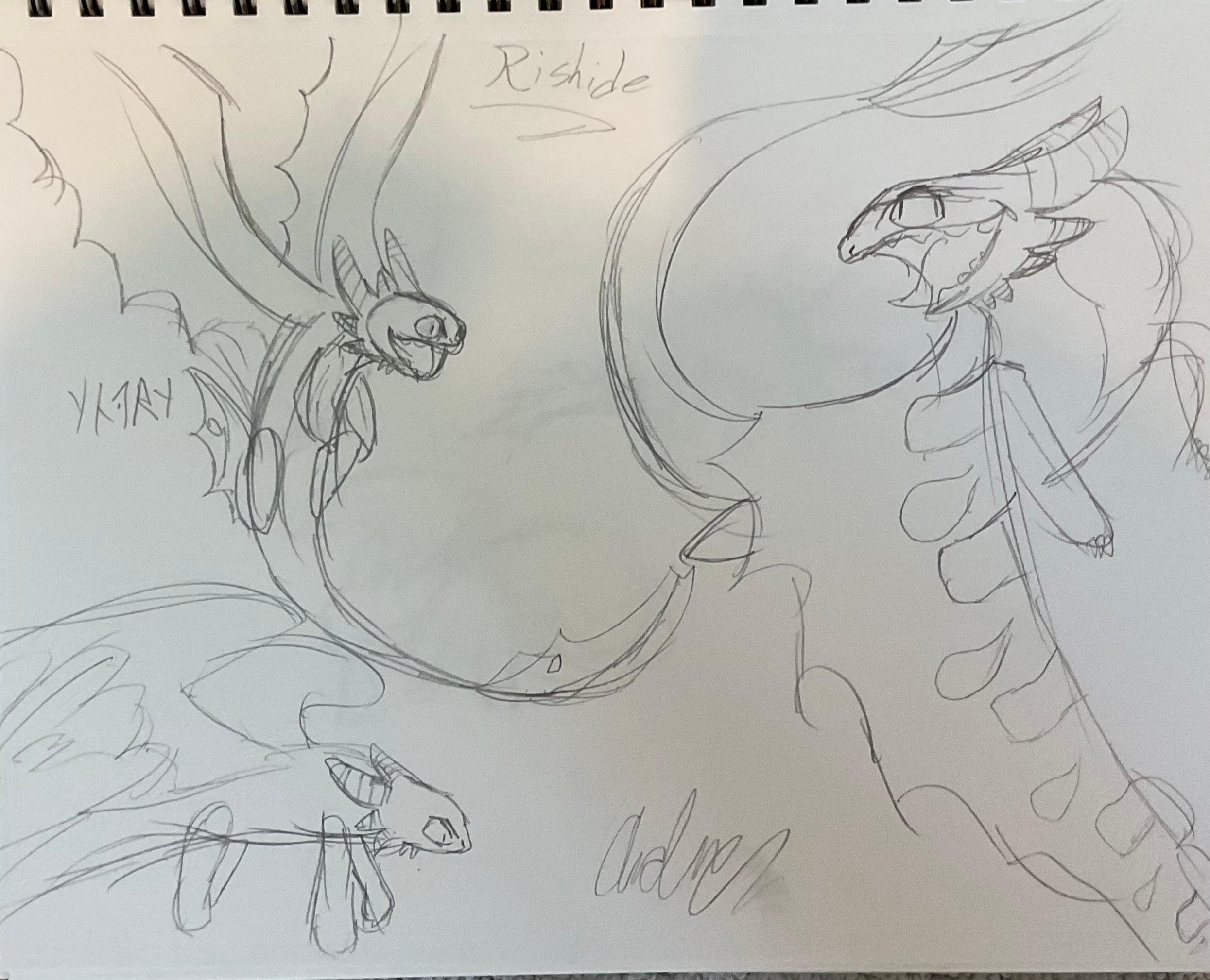 Pure Andra Chaos Dragons 197 Guys… - ibisPaint