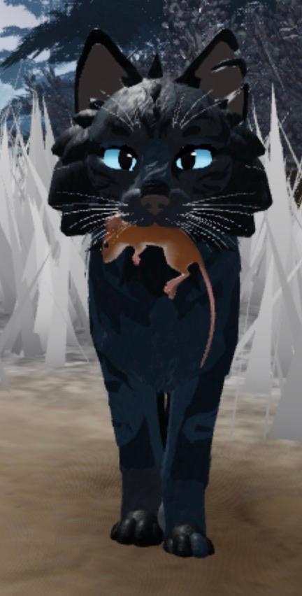 Biomecats 🌲🌵 ️🏝️discontinue Paws traveled: 5 Warrior cats in Roblox ...