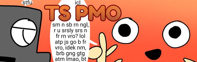 TS PMO - ibisPaint