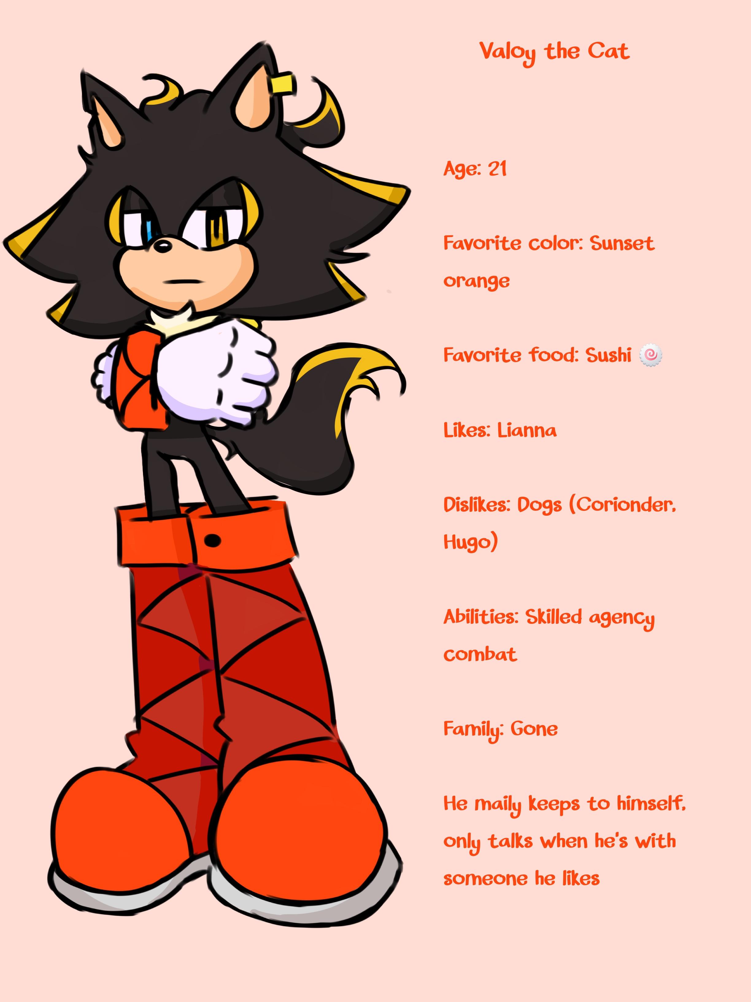 Sonic OCs 3 Character/OCs Sum - ibisPaint