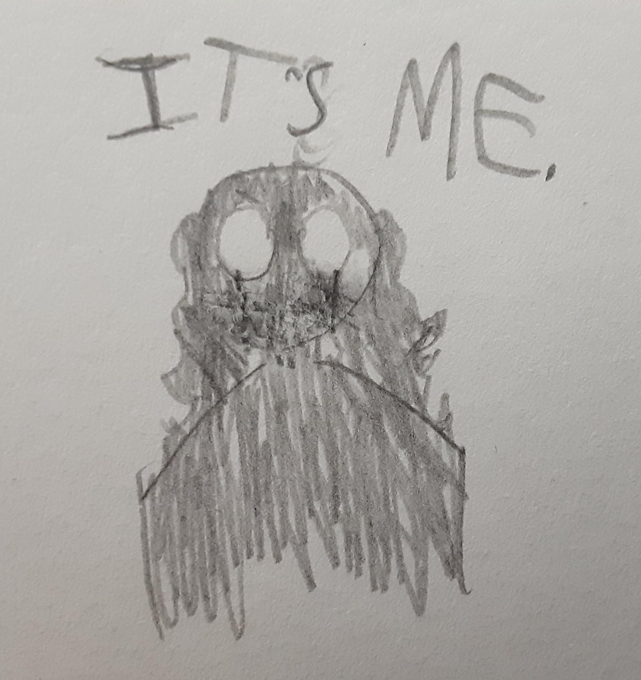 sunny's forest (randomness) disaster number 10: sketch dump - ibisPaint