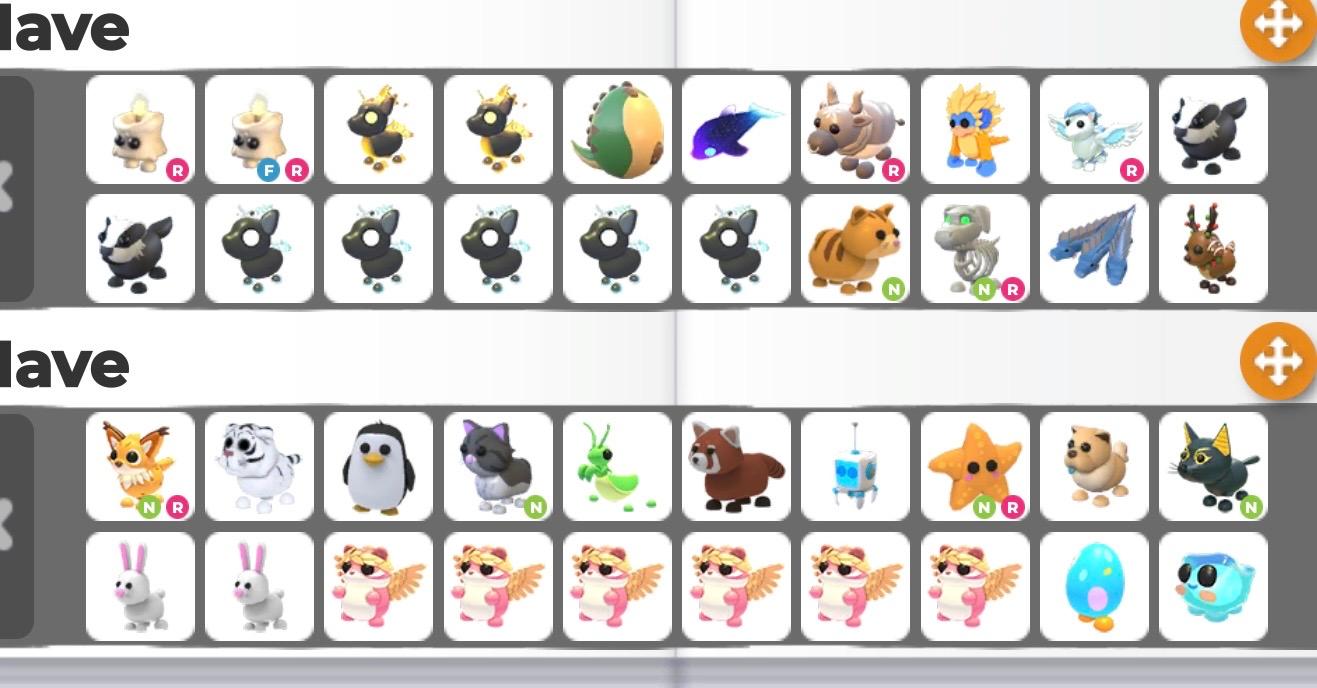 【amoeba universe... ⋆｡𖦹°⭒˚｡⋆】 7 adopt me pets - ibisPaint