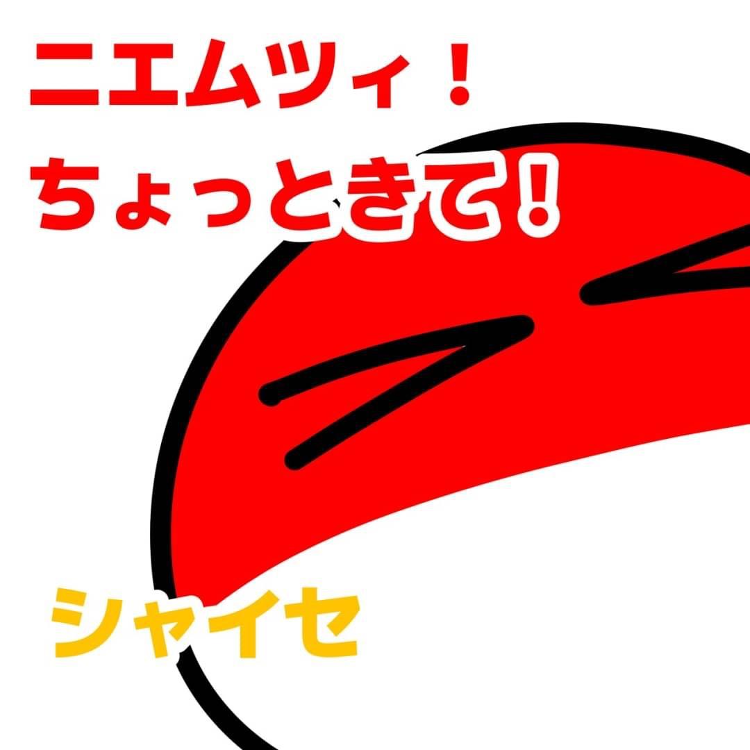 だっぴのポーランドボール 第9話 ニエムツィは猫なんね - ibisPaint