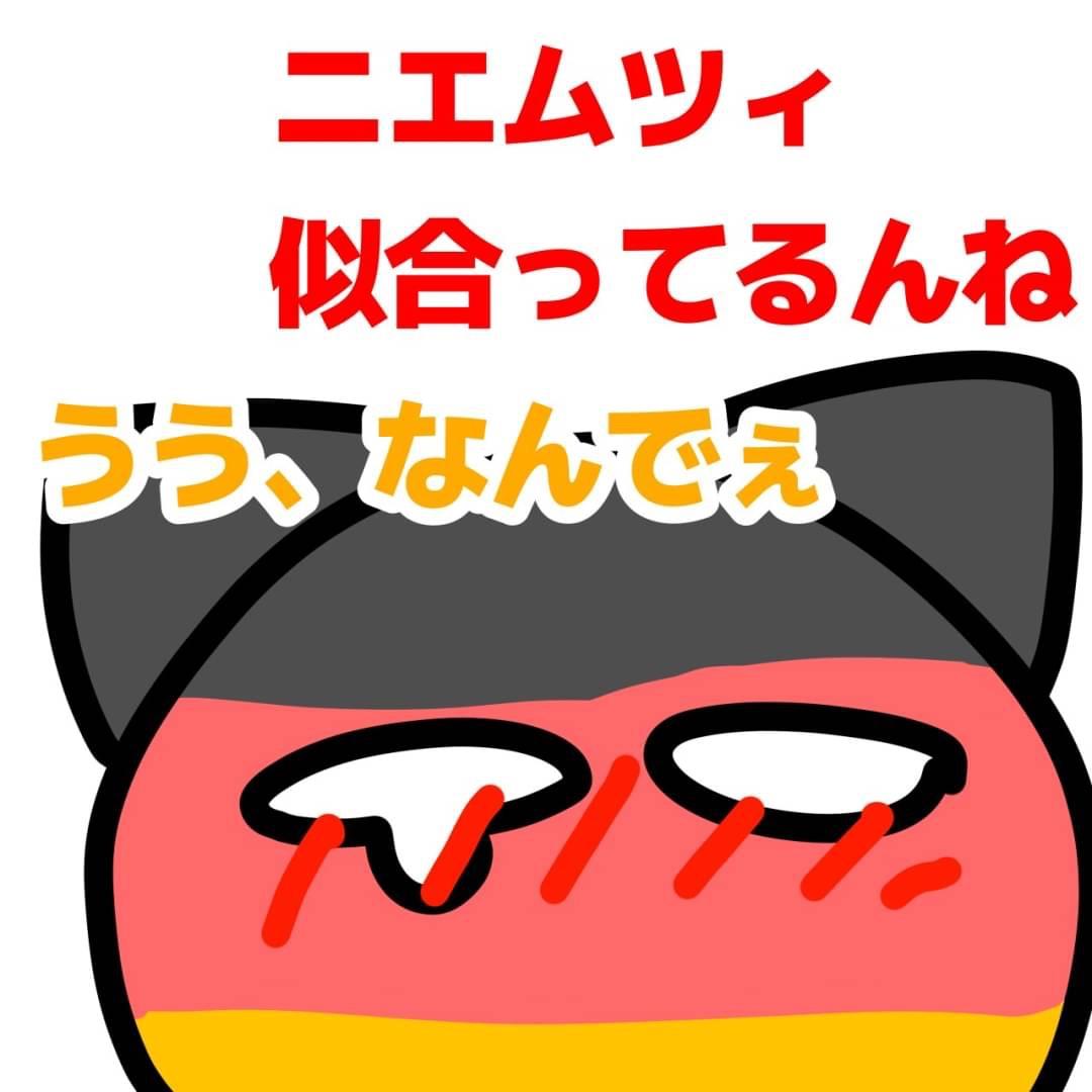 だっぴのポーランドボール 第9話 ニエムツィは猫なんね - ibisPaint