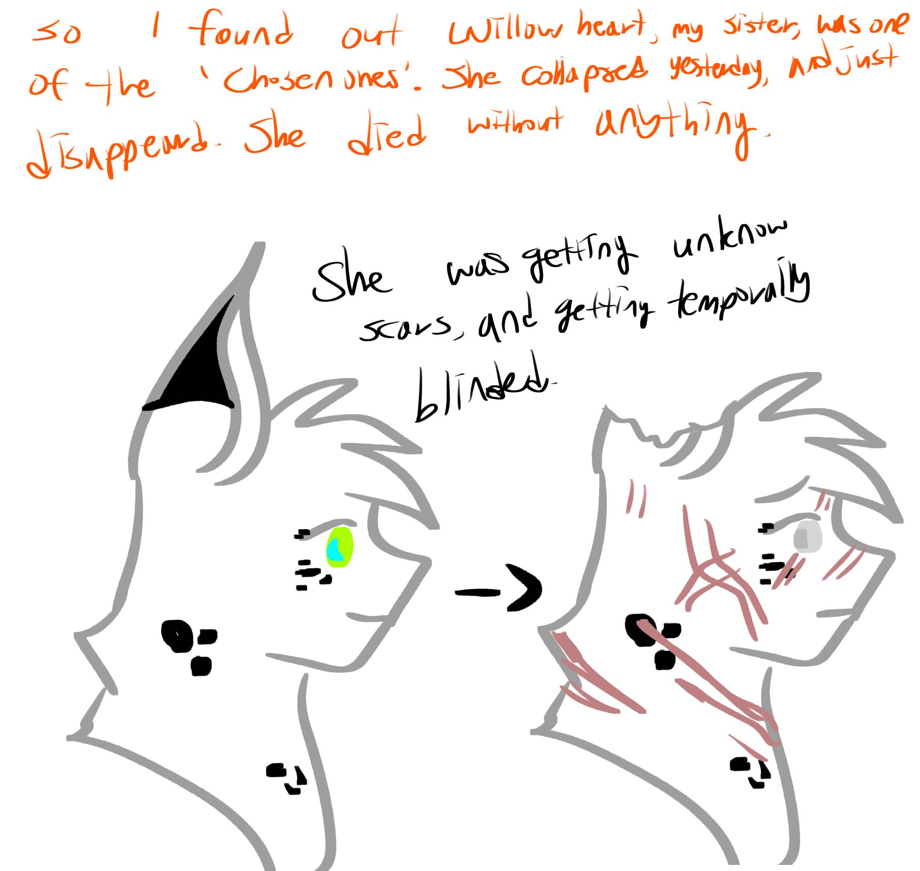 Sparkblaze Q&A 2nd Episode 8 Please help my son-Sparkblaze - ibisPaint
