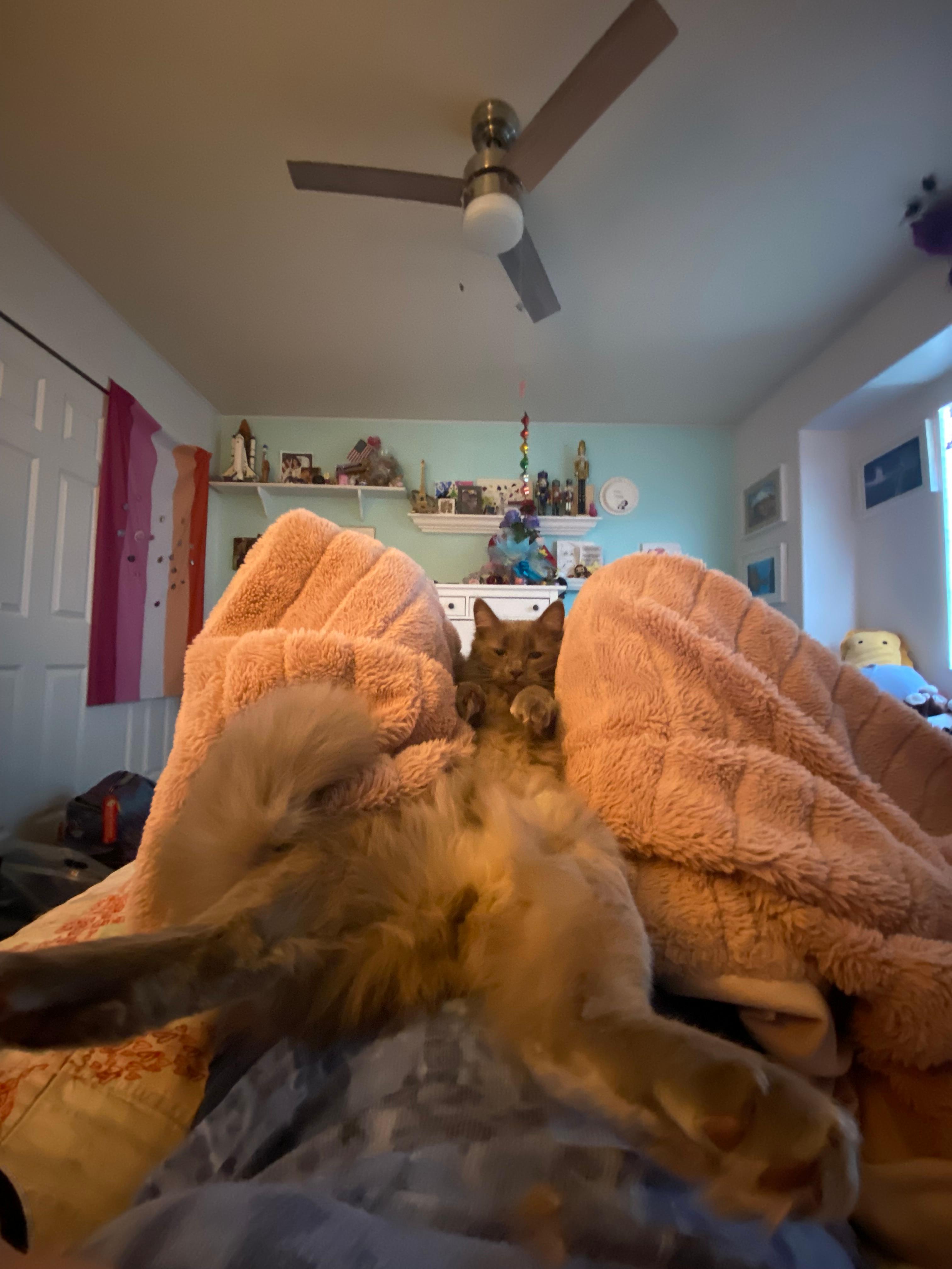 ciel-brainrot-62-little-idiot-boy-ibispaint