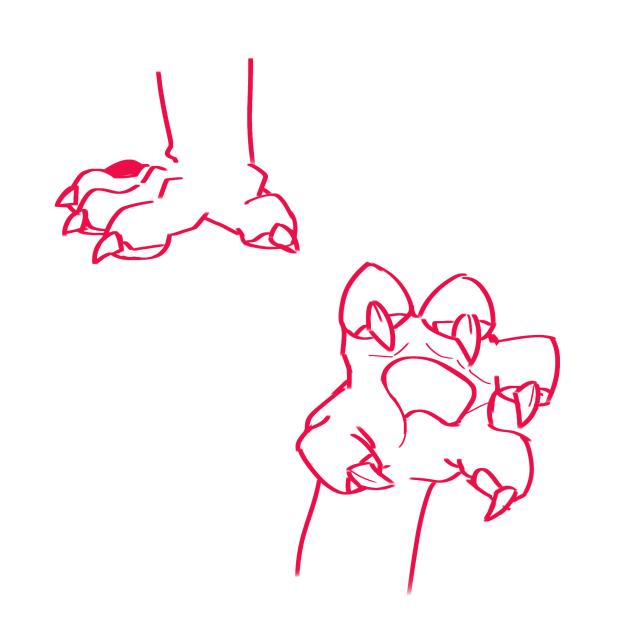 paws