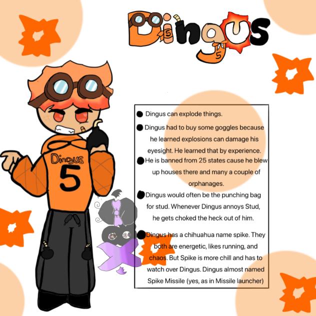 Dingus HC’s