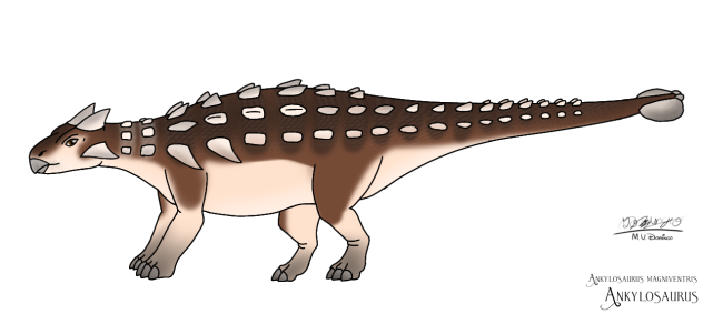 Ankylosaurus magniventris
