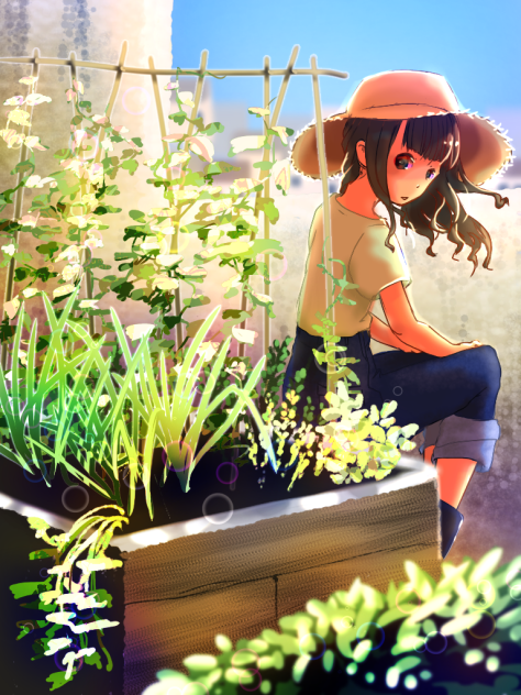 葉っぱ