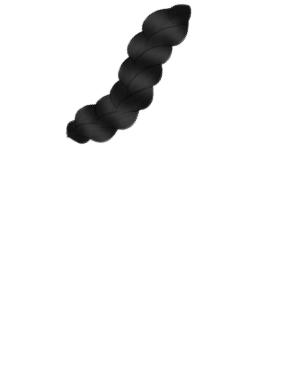 What if ibis inc made this brush