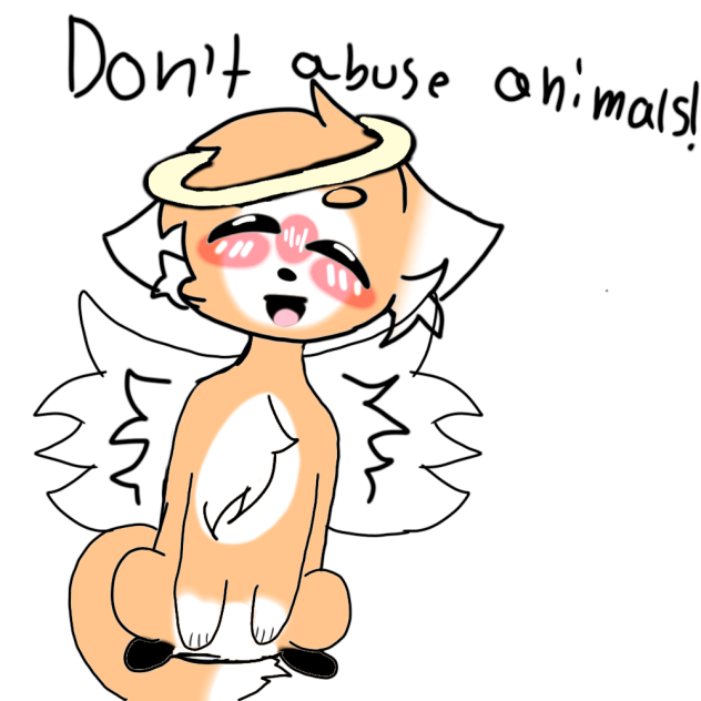 Don't abuse animals! ❤️