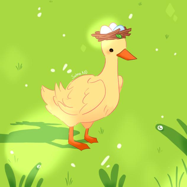 Duck