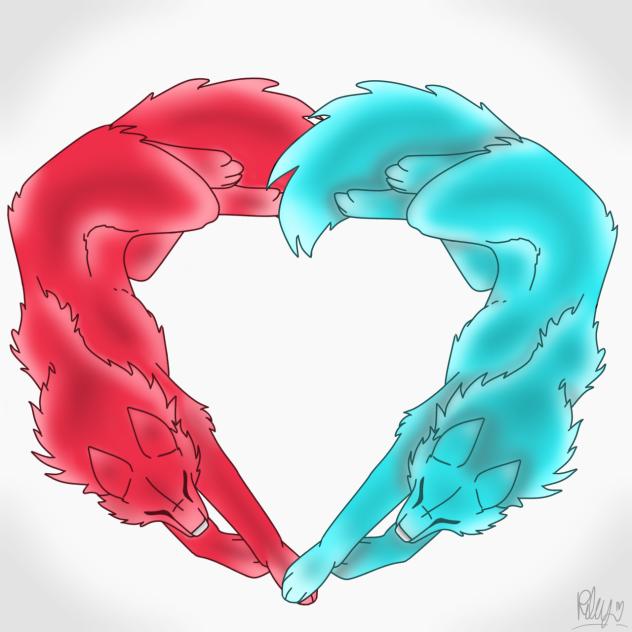 ❤️🤍🩵