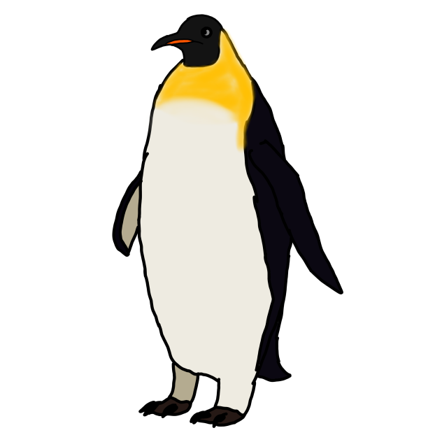 Ridgen Penguin