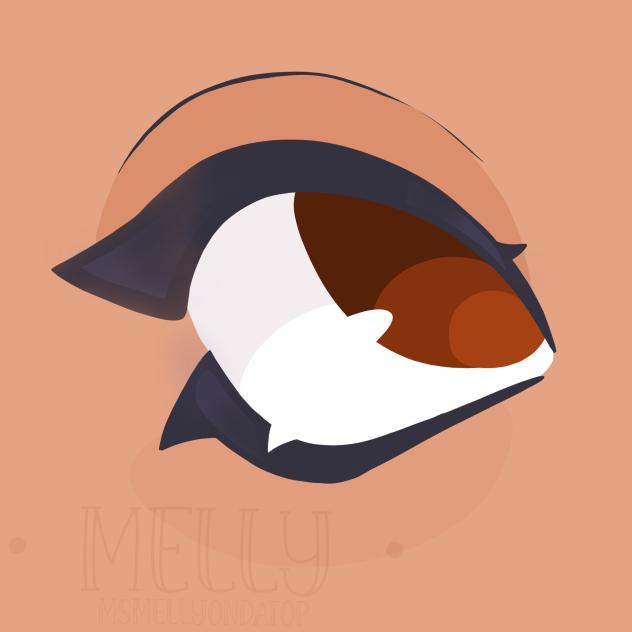 Kleki Lasso Art