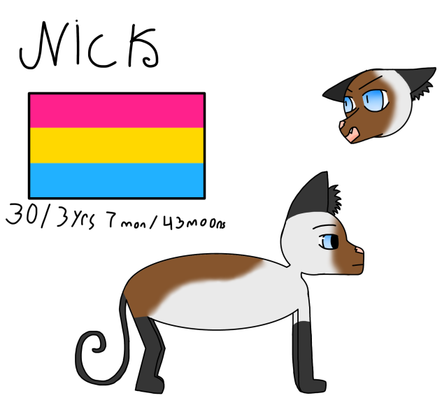Nick profile