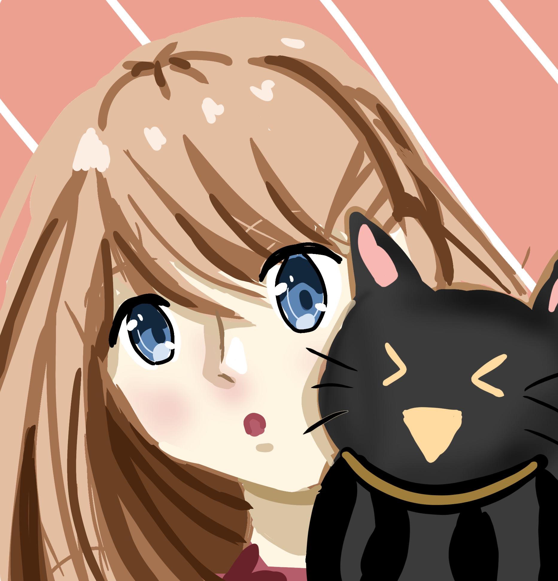 cat - ibisPaint