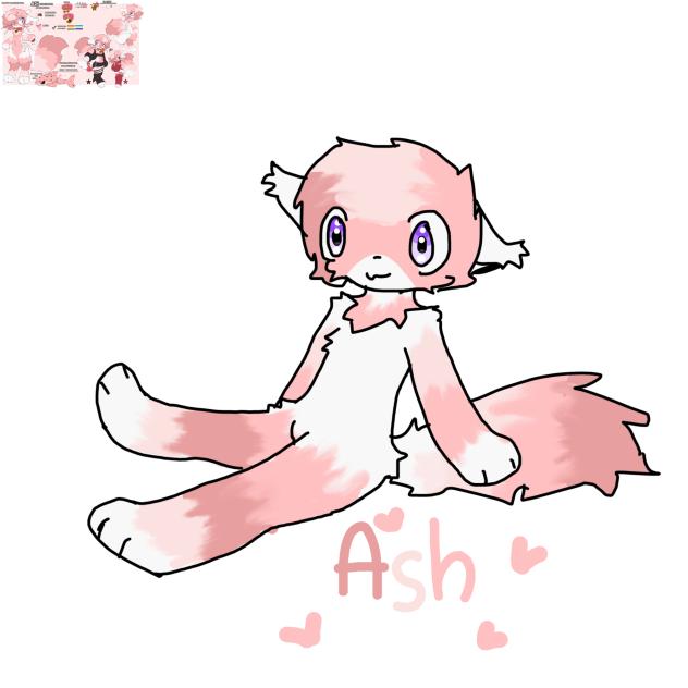 Ash FA
