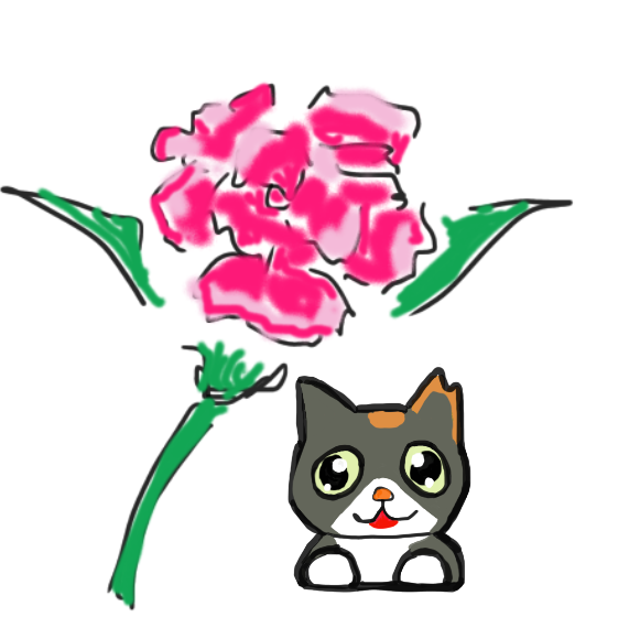 カーネーション