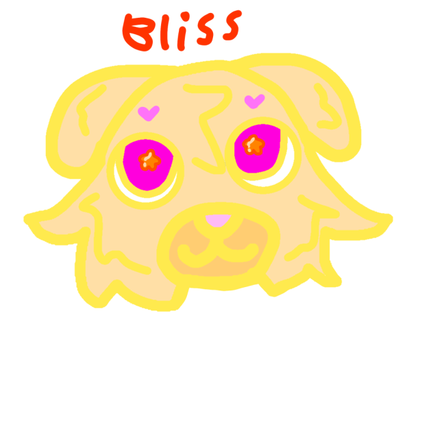 Golden retriever named bliss!