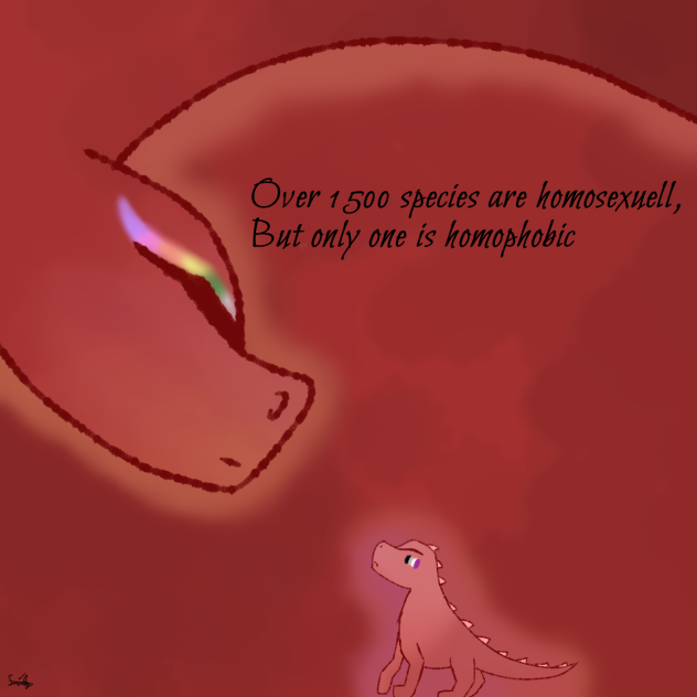 dragons