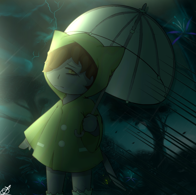 Rainy night