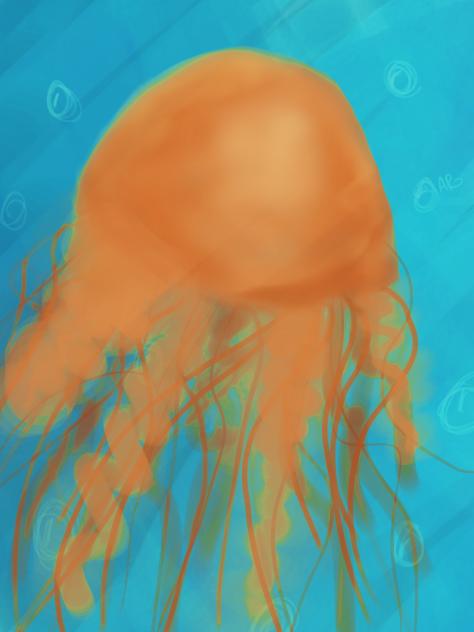 Jellyfish!