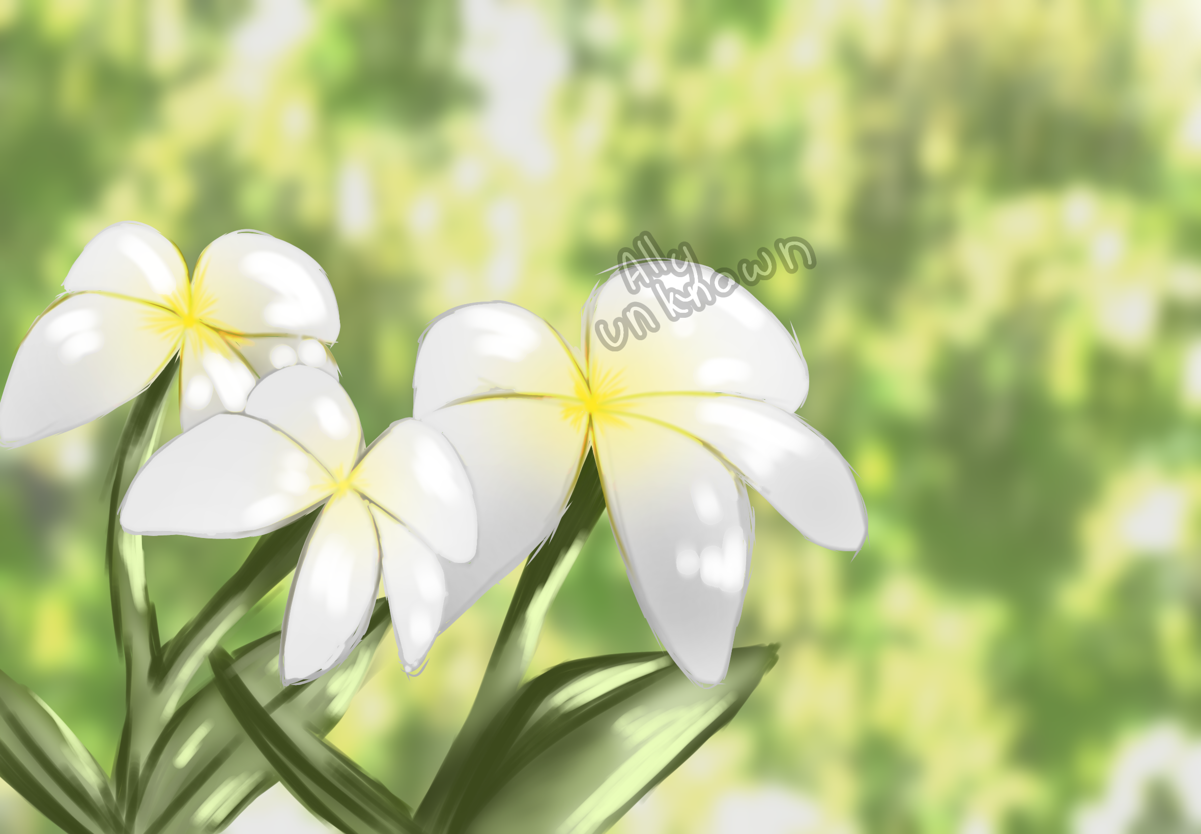 Pretty pretty flower - ibisPaint