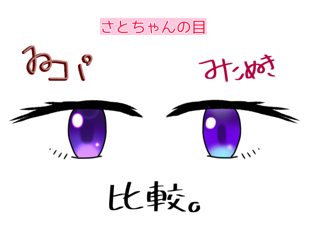 みたぬきとゐコパの目の違い