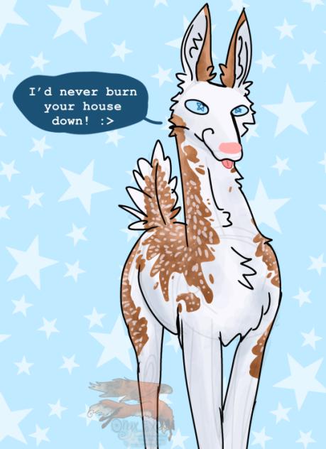 I’d NEVER….
