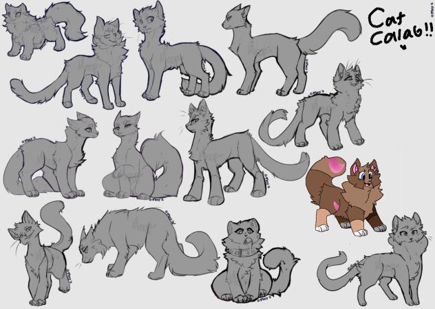 Kitty collab!!