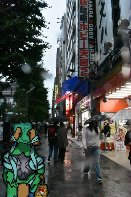 Tokyo Rainy Walk