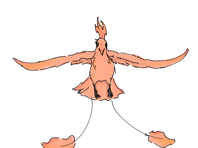 bird - ibisPaint