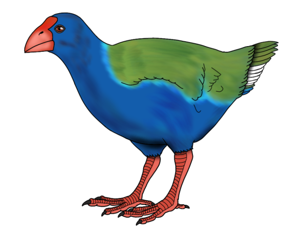 Takahē - Takahirō render