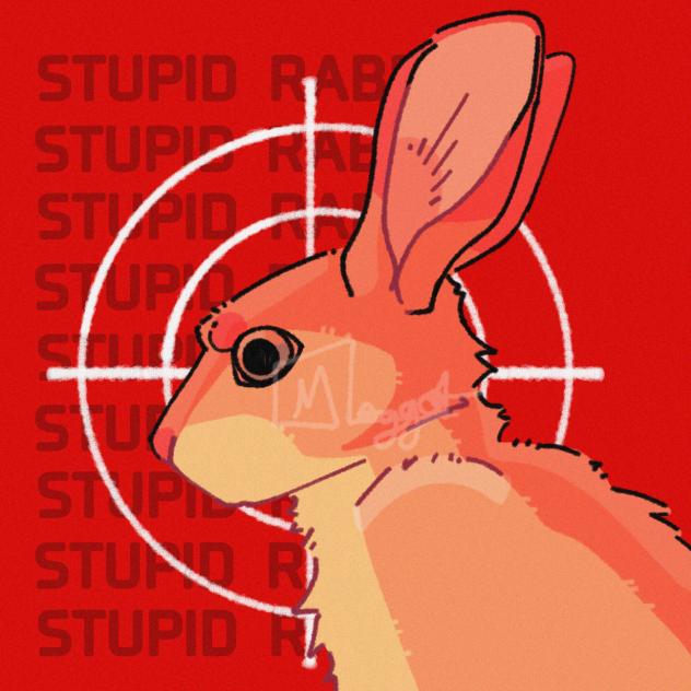 RABBIT 🐇