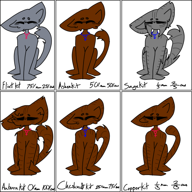 RailClaw and ThymeLeg’s kits
