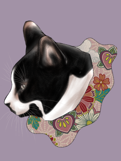 猫の横顔　ハチワレ　ヒゲ有り