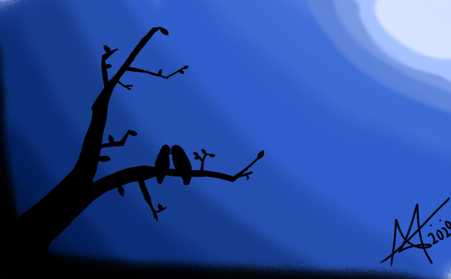 mid night