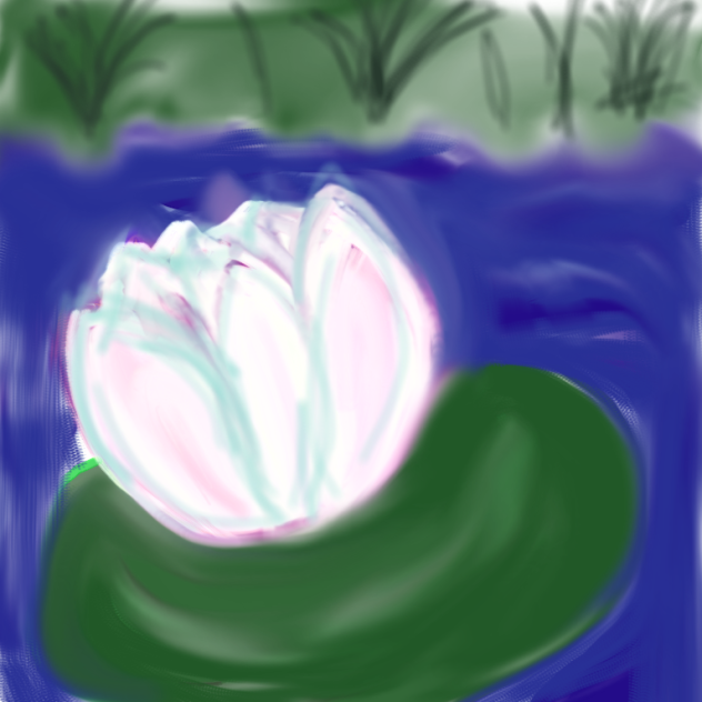 water lily