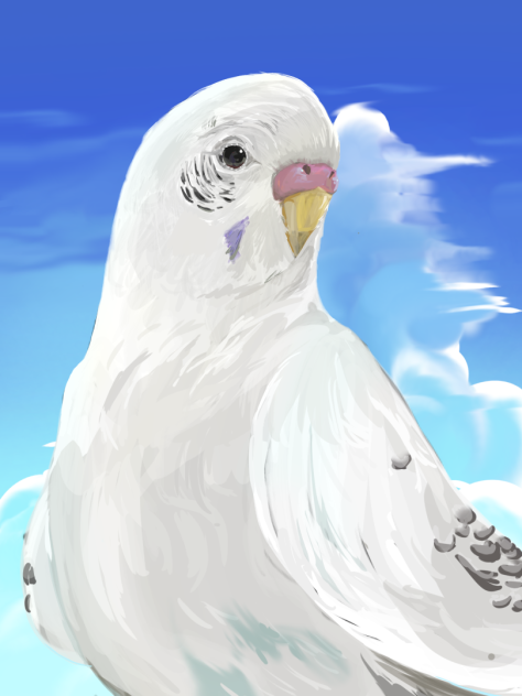 ココ