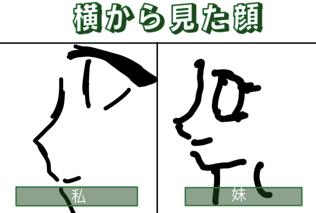 一発描き横から見た顔(左私右妹)