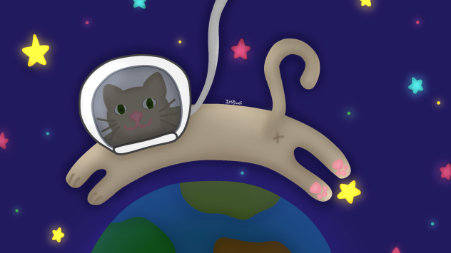 Cat in Space