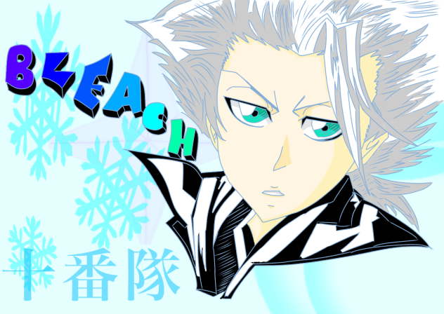 日番谷冬獅郎❄️。