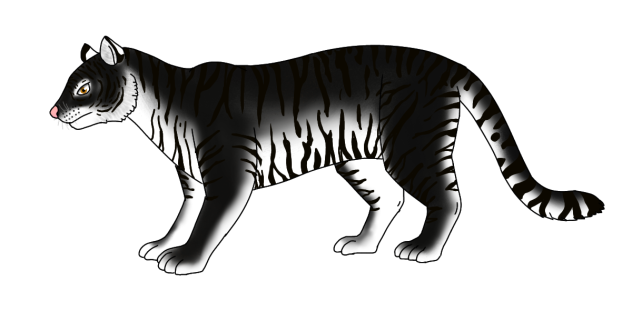Black Tiger
