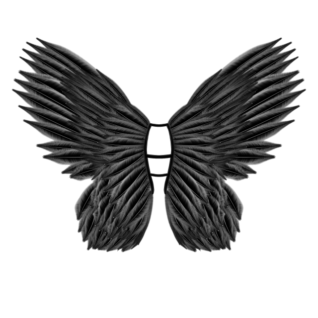 Idol’s black wings