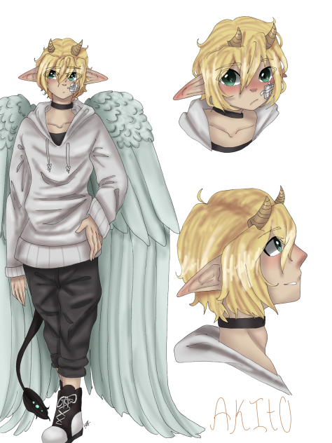 Full Akito character sheet