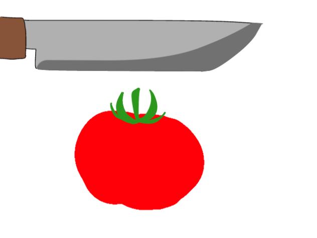 野菜切ってみた
