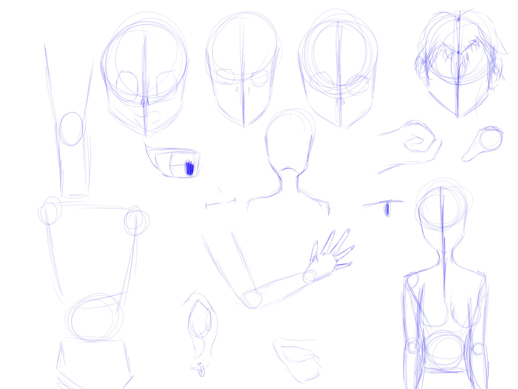 Practice, - ibisPaint