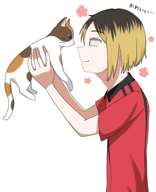 三毛猫と研磨